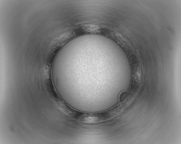 X0000115160658200911101751
