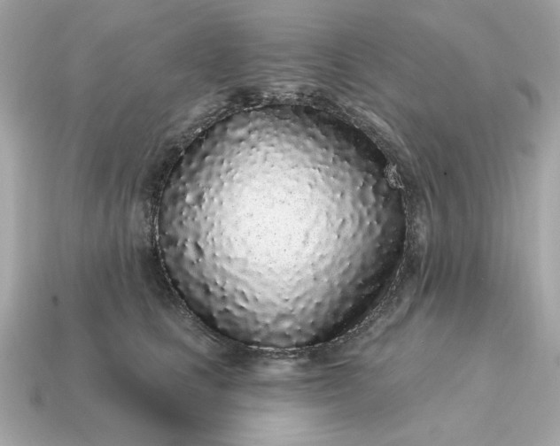 X0000115160661200911101751
