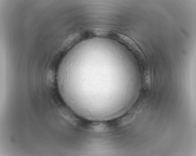 X0000115160667200911101751