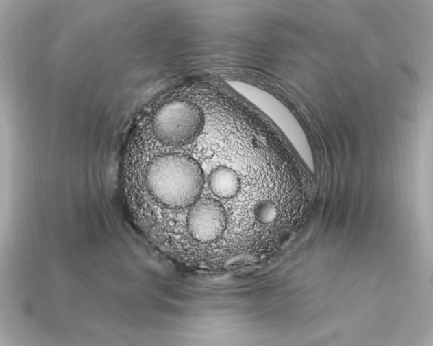 X0000115160668200911101751