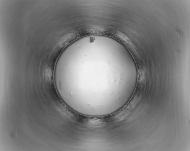 X0000115160669200911101751