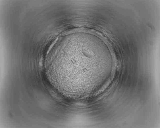 X0000115160670200911101751