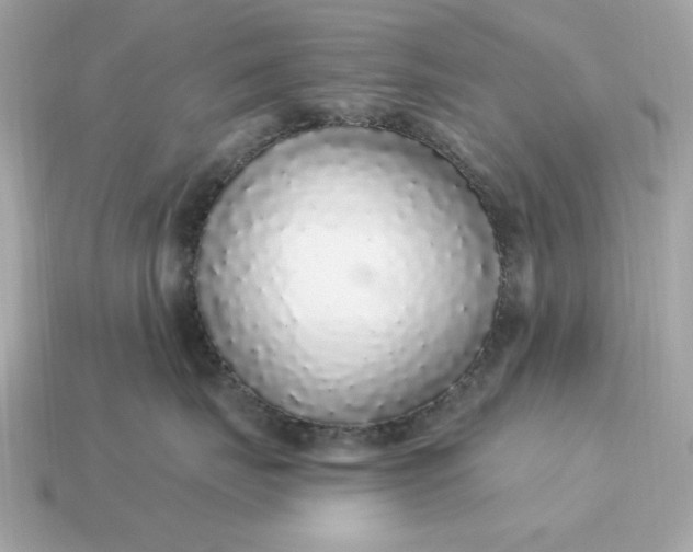 X0000115160671200911101751