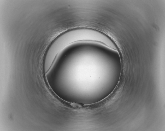 X0000115160673200911101750
