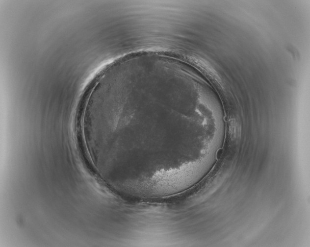 X0000115160676200911101750