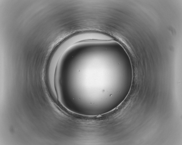 X0000115160677200911101750