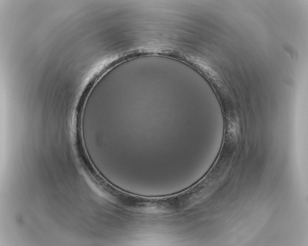 X0000115160678200911101750