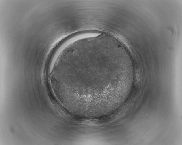 X0000115160680200911101750