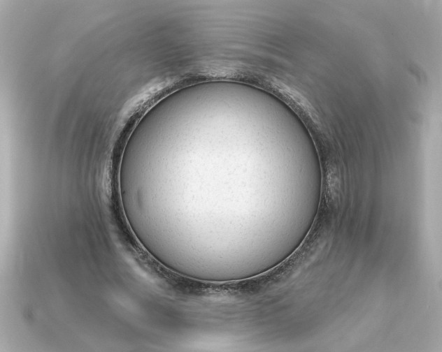 X0000115160682200911101750