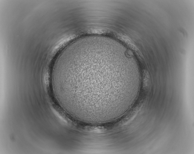 X0000115160683200911101750