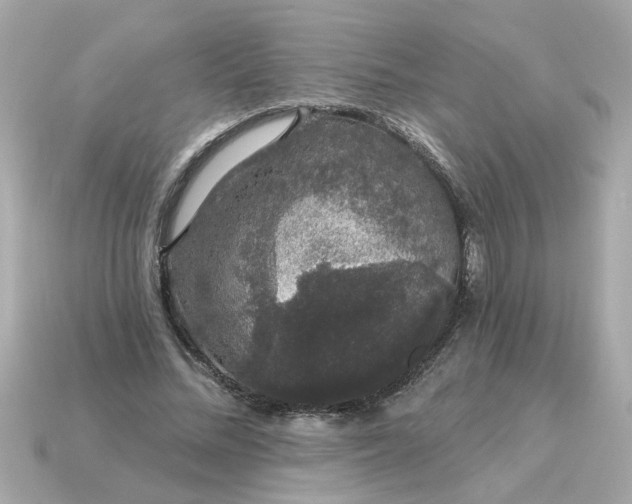 X0000115160684200911101750