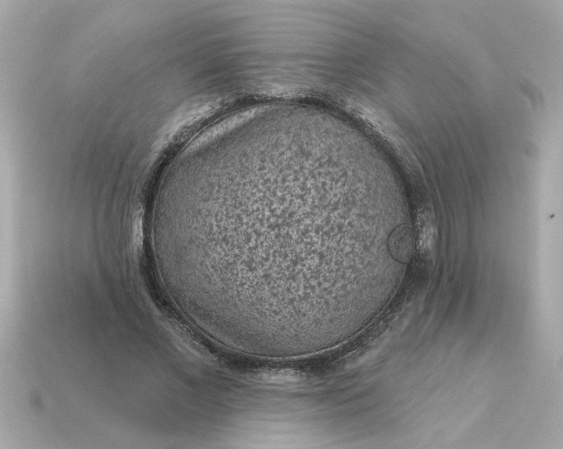 X0000115160685200911101750