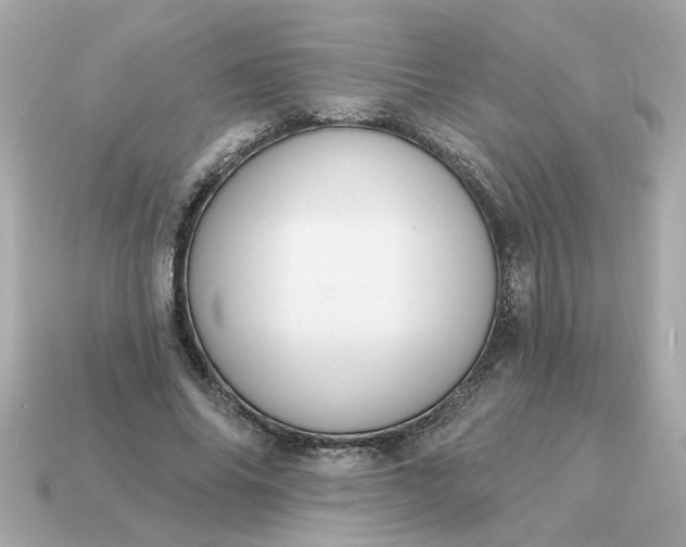 X0000115160686200911101750