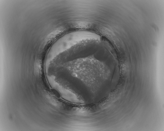 X0000115160688200911101750
