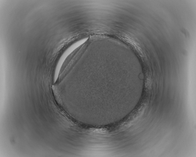 X0000115160689200911101750
