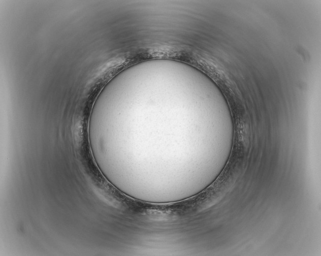 X0000115160690200911101750