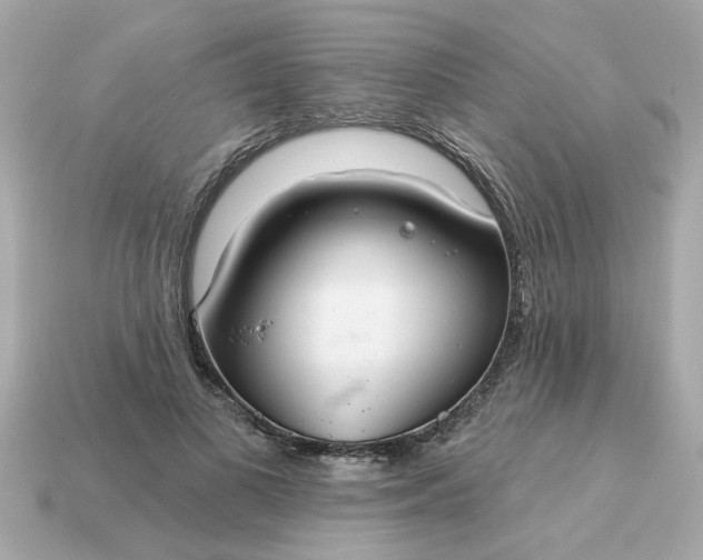 X0000115160693200911101750