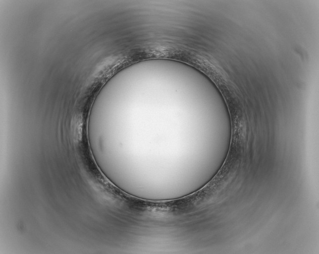 X0000115160694200911101750