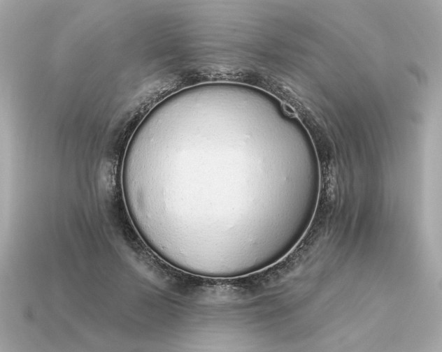 X0000115160695200911101750