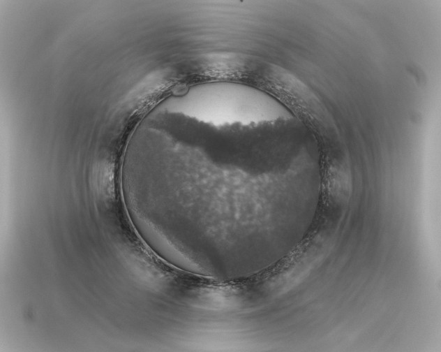 X0000115160696200911101750