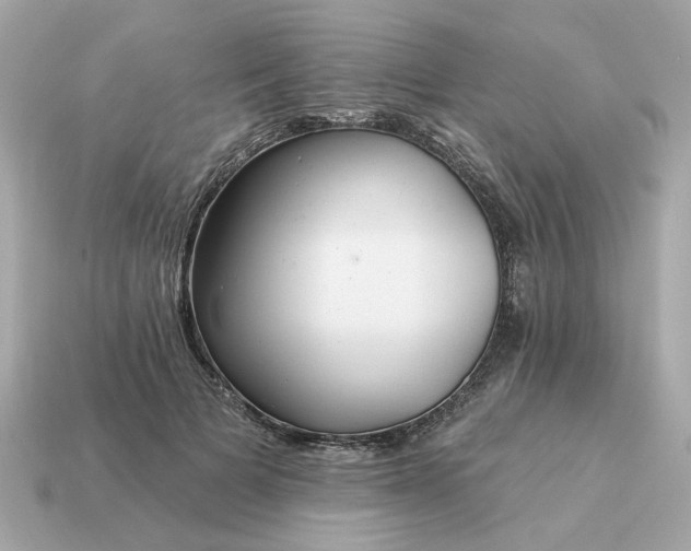 X0000115160697200911101750