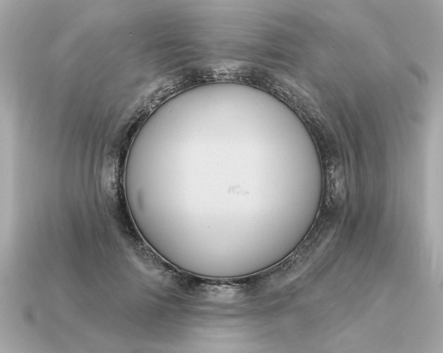 X0000115160698200911101750