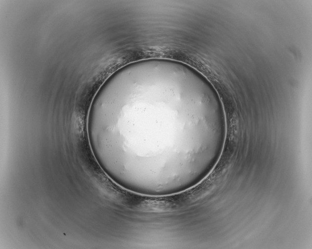 X0000115160699200911101750
