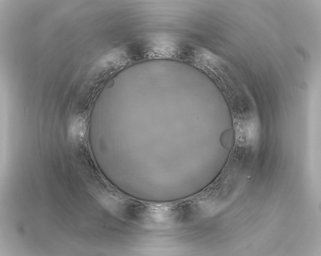 X0000115160701200911101750