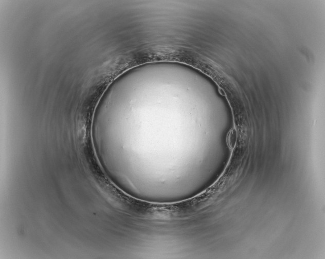 X0000115160703200911101750