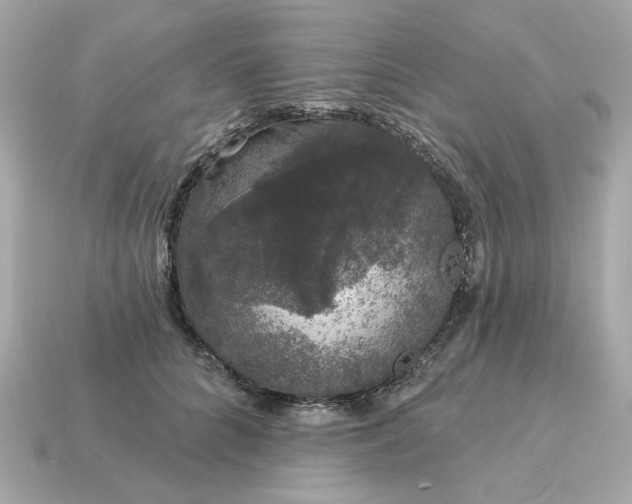 X0000115160704200911101750