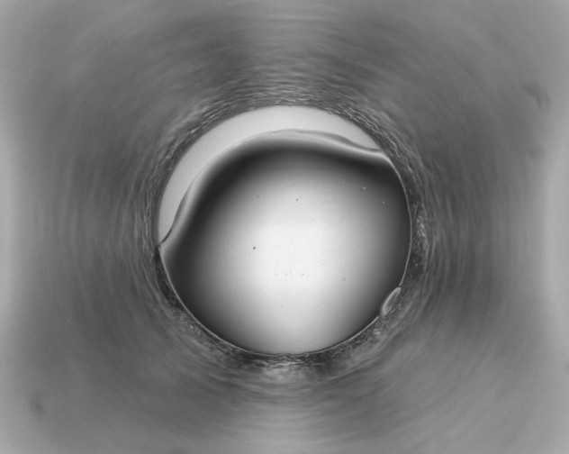 X0000115160705200911101750