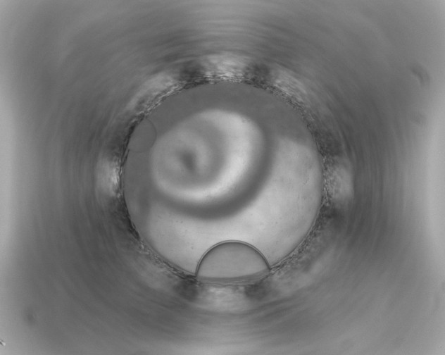 X0000115160709200911101750