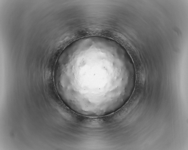 X0000115160711200911101750