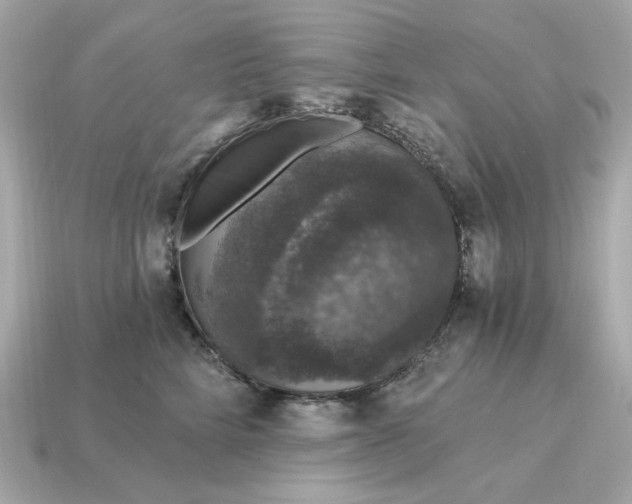 X0000115160712200911101750