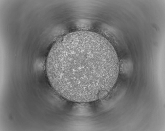 X0000115160713200911101750