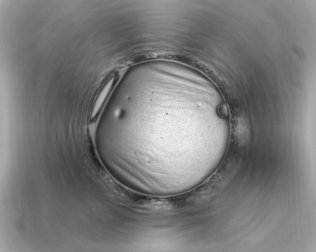 X0000115160715200911101750