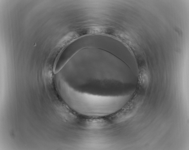 X0000115160716200911101750