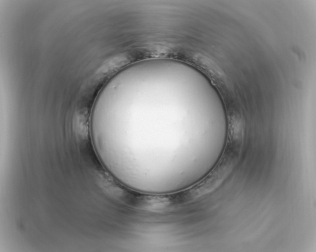 X0000115160719200911101750
