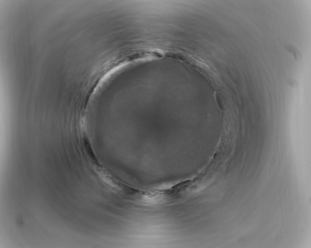 X0000115160720200911101750