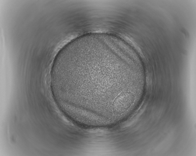 X0000115160721200911101749