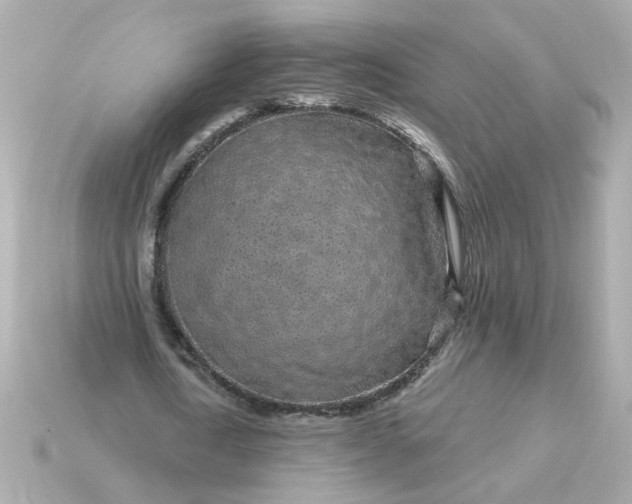 X0000115160722200911101749