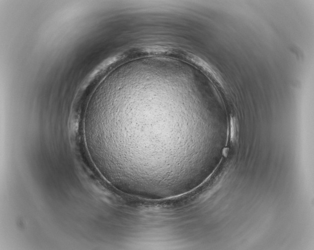 X0000115160723200911101749