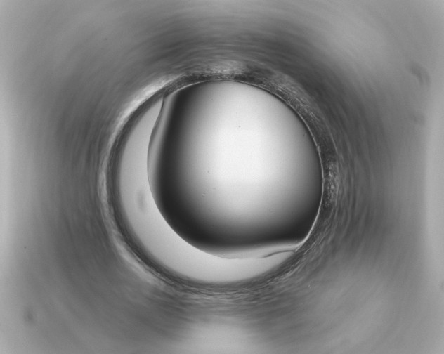 X0000115160726200911101749