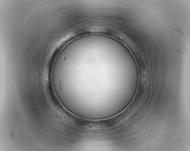 X0000115160727200911101749