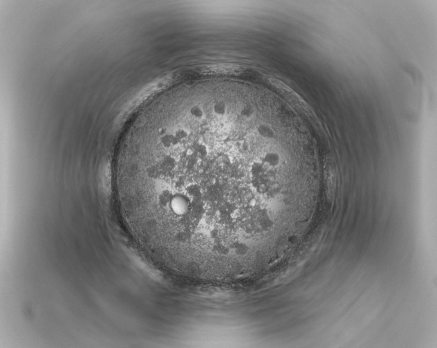 X0000115160729200911101749