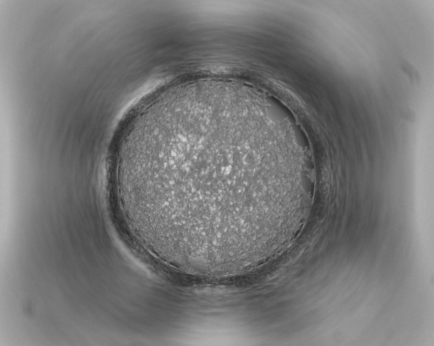 X0000115160730200911101749