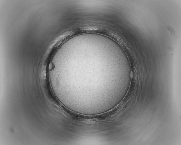 X0000115160731200911101749