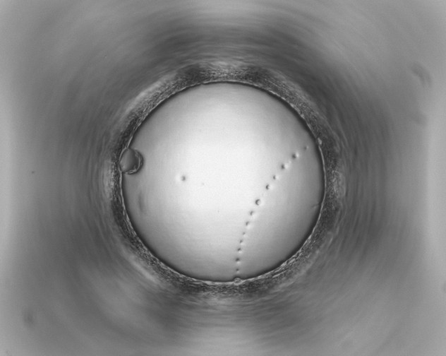 X0000115160733200911101749