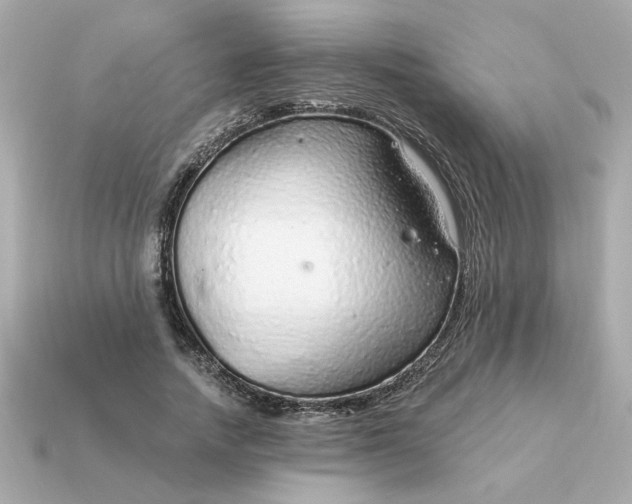 X0000115160738200911101749