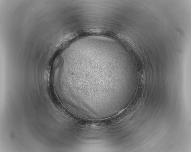 X0000115160739200911101749
